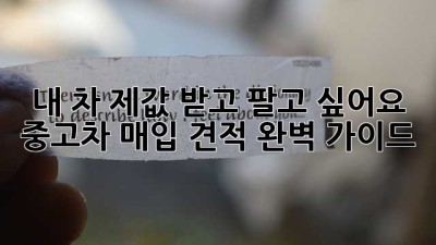 내 차, 제값 받고 팔고 싶어요? 중고차 매입 견적 완벽 가이드!