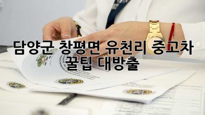 담양군 창평면 유천리 중고차, 꿀팁 대방출! 🚗💨