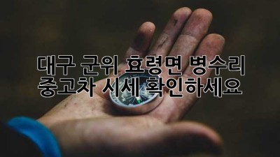 대구 군위 효령면 병수리 중고차 시세 확인하세요!