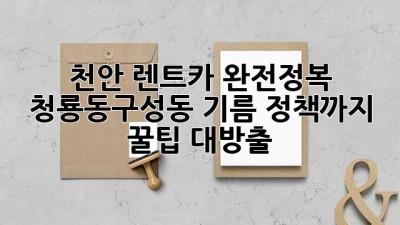 천안 렌트카 완전정복!🚗💨 청룡동&구성동 기름 정책까지 꿀팁 대방출!