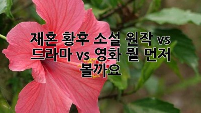 재혼 황후 소설: 원작 vs 드라마 vs 영화, 뭘 먼저 볼까요?