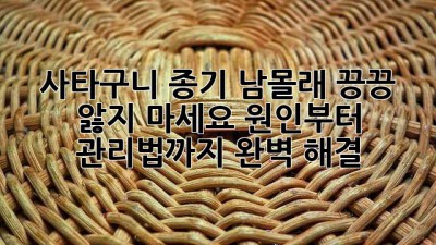 🚨 사타구니 종기, 남몰래 끙끙 앓지 마세요! 원인부터 관리법까지 완벽 해결! 🤫